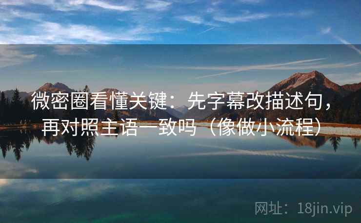 微密圈看懂关键：先字幕改描述句，再对照主语一致吗（像做小流程）